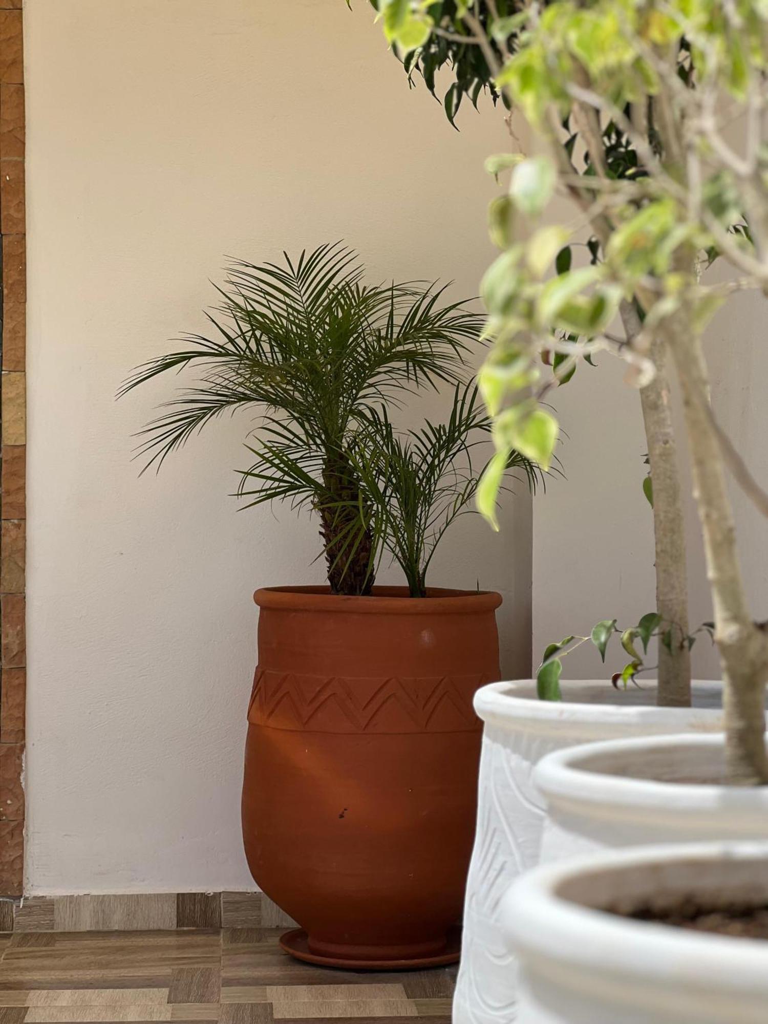 Riad Safia Rabat Exteriér fotografie